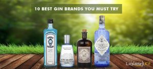 10 BEST GIN BRANDS YOU MUST TRY