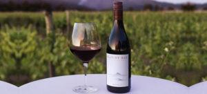 liquidz_blog_14-5-2021_2-Cloudy-Bay-Pinot-Noir-750mL