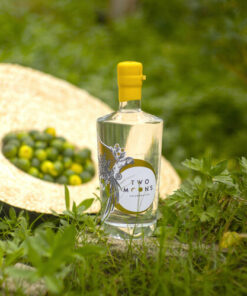 Two-Moons-Calamansi-Gin-700mL-pg-2