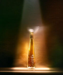 Don Julio Ultima Reserva Tequila 750mL pg1