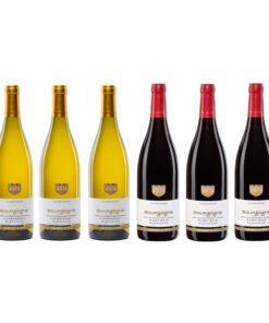 Vignerons de Buxy Bourgogne Chardonnay + Pinot Noir (Combo)