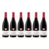 Vignerons de Buxy Bourgogne Pinot Noir Bourgogne 750mL - (6 Bottles)
