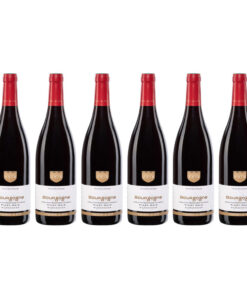 Vignerons de Buxy Bourgogne Pinot Noir Bourgogne 750mL - (6 Bottles)